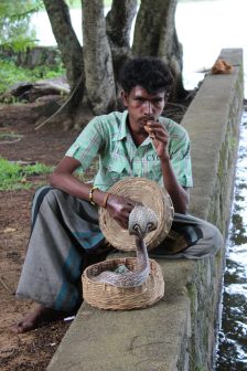 Snake "charmer", Kandy, Sri Lanka